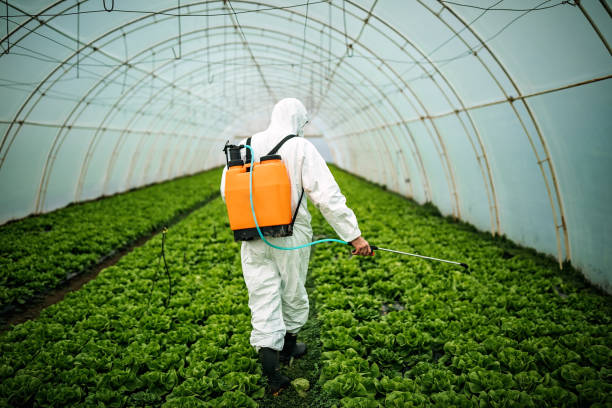 Best Pest Control Near Me in Divernon, IL