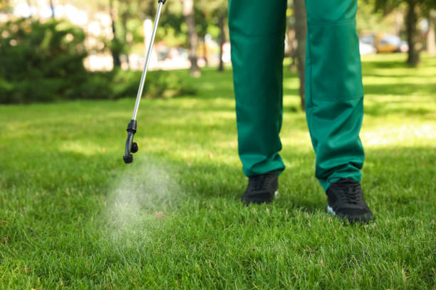 Best Local Pest Control Services  in Divernon, IL