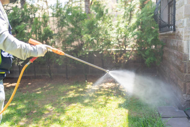 Best Affordable Pest Control Services  in Divernon, IL