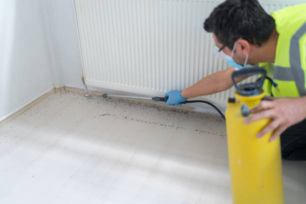 Best Best Pest Control Companies  in Divernon, IL